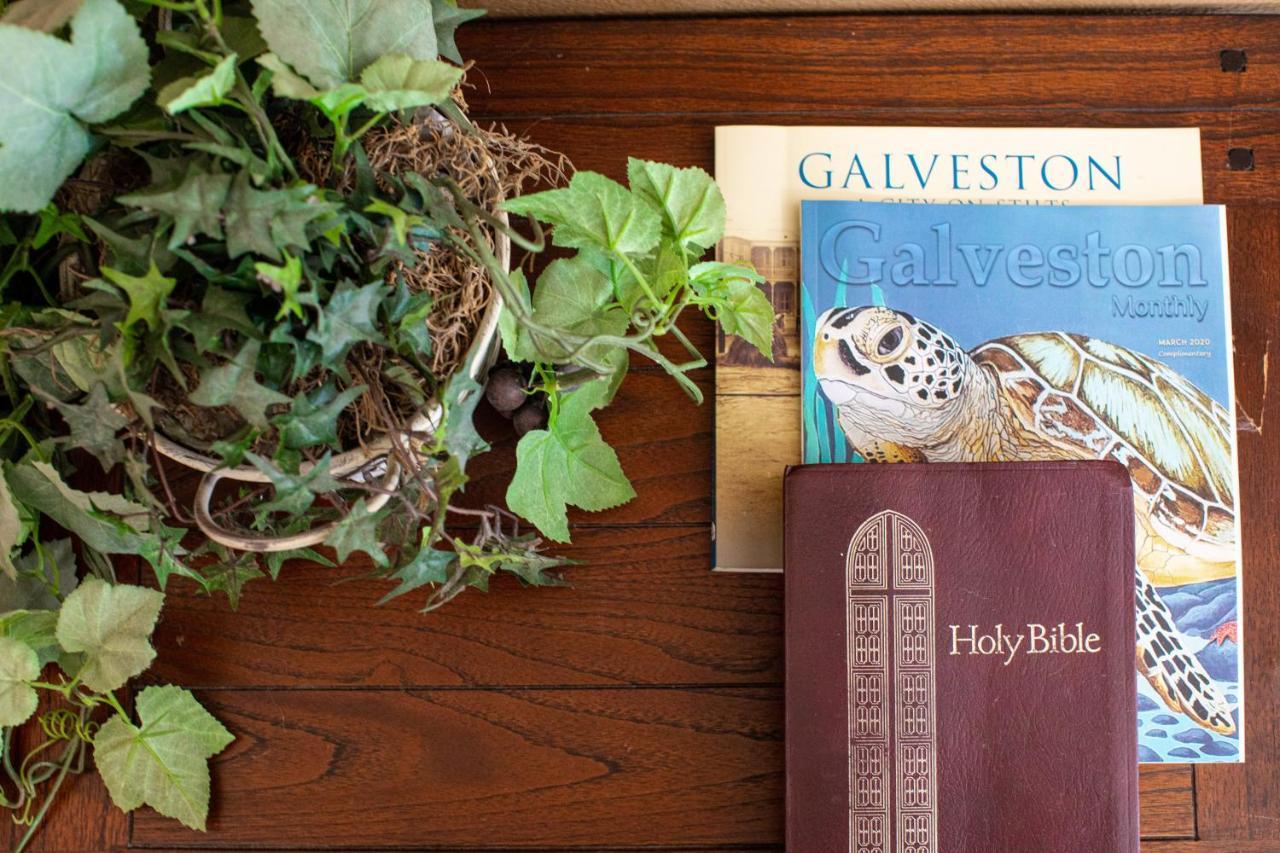 Entertain&Relax at our Beach Home - Pet Friendly Galveston Extérieur photo